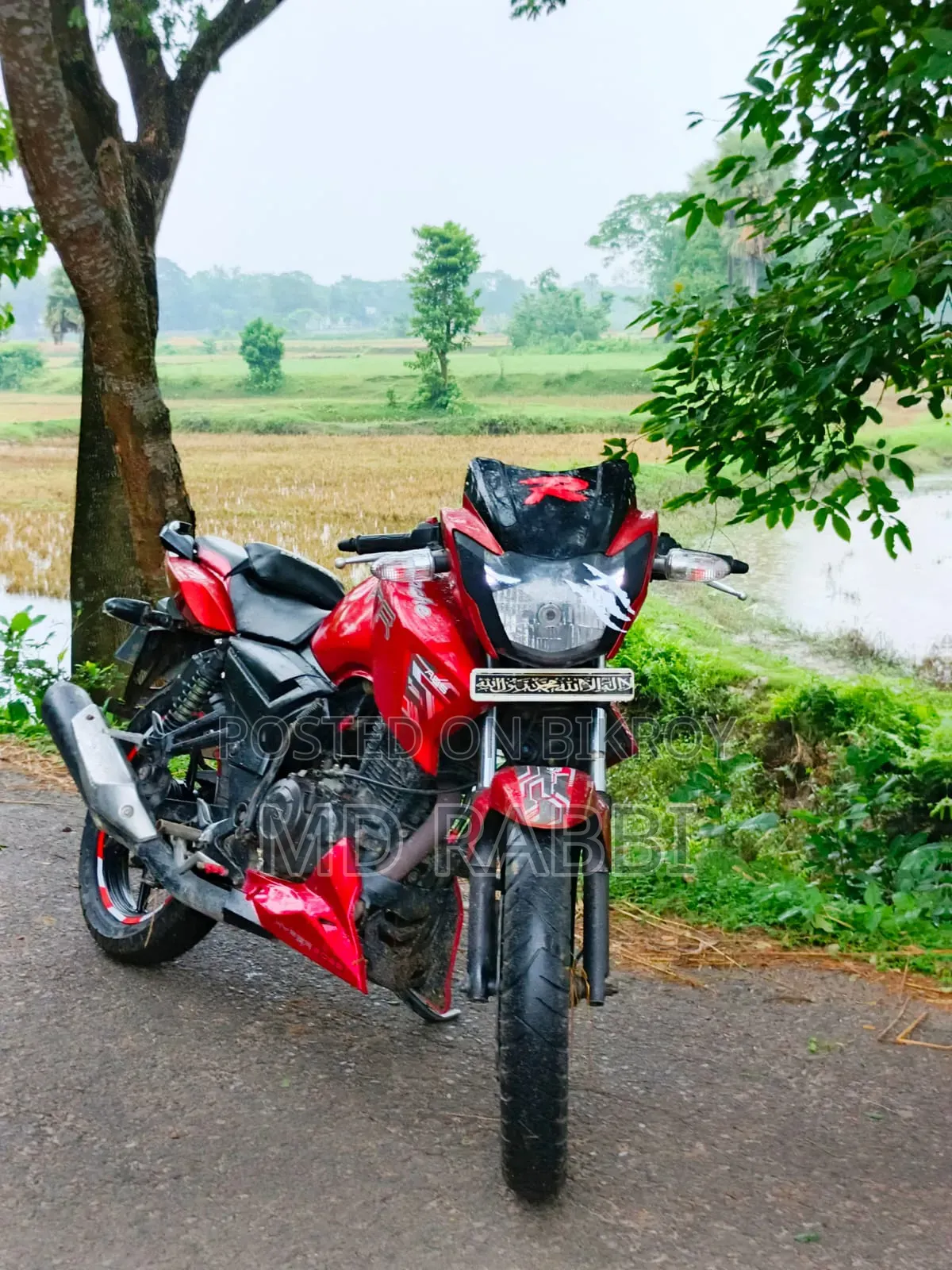 টিভিএস আপাচে আরটিআর ১৬০ ২ভি ২০১৬ লাল