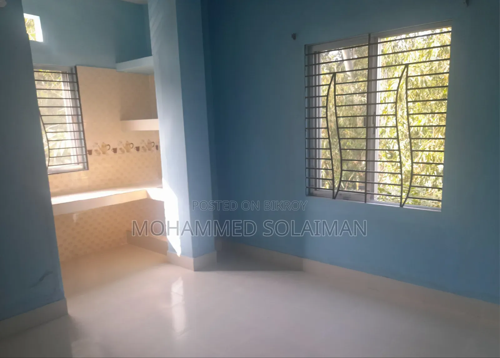 রাজ ভিলায়, কর্নেলহাট-এ সাজানো মিনি ফ্ল্যাট বিক্রয়