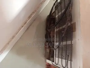 ৫০ লিটার মিনি রেফ্রিজারেটর