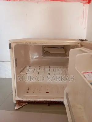 ৫০ লিটার মিনি রেফ্রিজারেটর