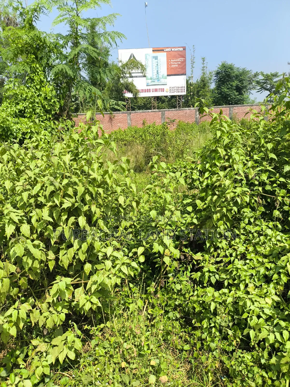 দক্ষিণ পশ্চিম কর্নার ৫ কাঠা প্লট জরুরী বিক্রি সেক্টর: ১০, পূর্বাচল