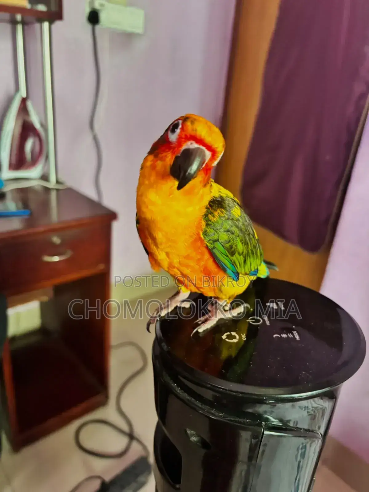 সান কুনুর