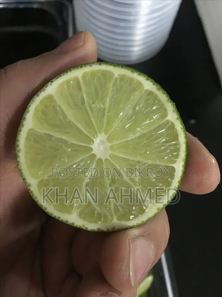 সুস্বাদু মালটা (Orange)