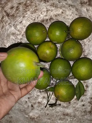 সুস্বাদু মালটা (Orange)