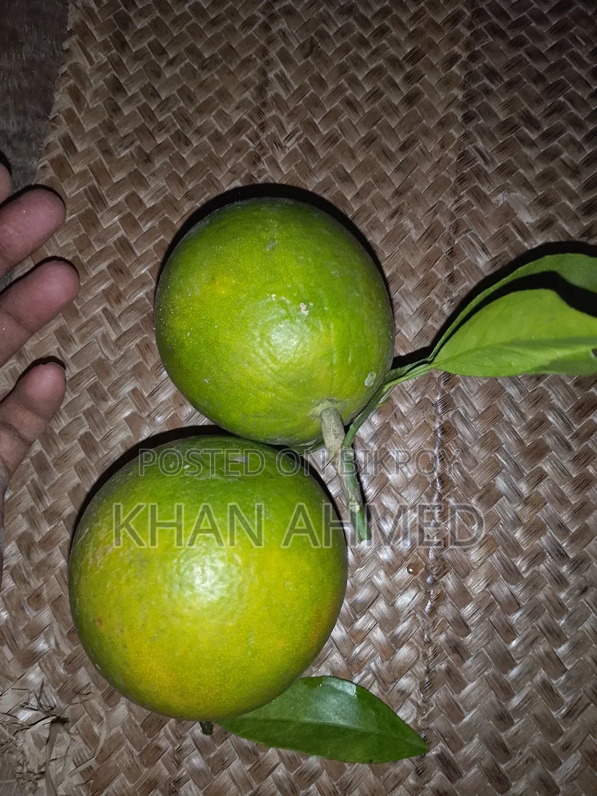 সুস্বাদু মালটা (Orange)