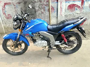 হিরো হাংক ২০১৯ সবুজ