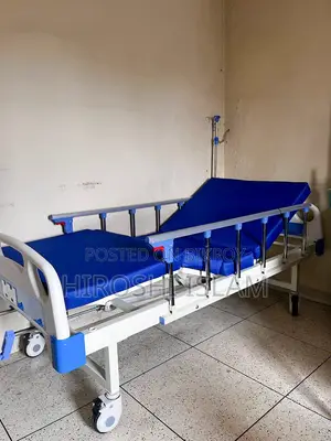 Dual Crank Hospital Bed
