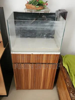 Fish Tank