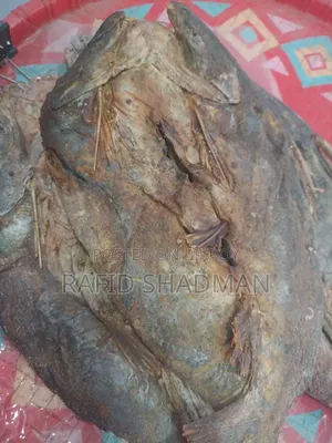 Rida Mach Shutki Dry Fish